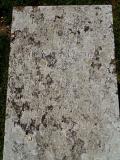 image of grave number 568531